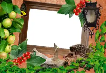 Εφέ φωτογραφιών στην κατηγορία Διαφορετικές № 39216