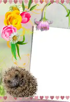 Εφέ φωτογραφιών στην κατηγορία Διαφορετικές № 39281