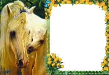 Εφέ φωτογραφιών στην κατηγορία Διαφορετικές № 40511