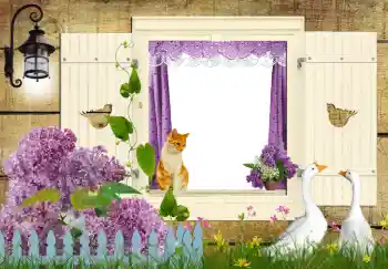 Εφέ φωτογραφιών στην κατηγορία Διαφορετικές № 42597