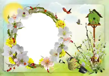 Εφέ φωτογραφιών στην κατηγορία Διαφορετικές № 42598