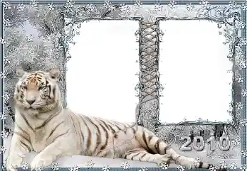 Εφέ φωτογραφιών στην κατηγορία Διαφορετικές № 45917