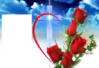 Εφέ φωτογραφιών στην κατηγορία Διαφορετικές № 46964