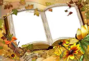 Εφέ φωτογραφιών στην κατηγορία Διαφορετικές № 47137