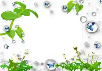 Εφέ φωτογραφιών στην κατηγορία Διαφορετικές № 47168