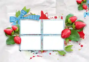 Εφέ φωτογραφιών στην κατηγορία Διαφορετικές № 47209