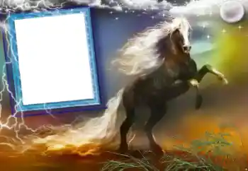 Εφέ φωτογραφιών στην κατηγορία Διαφορετικές № 47248