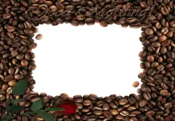 Η επιγραφή στην κορνίζα: Good Morning!