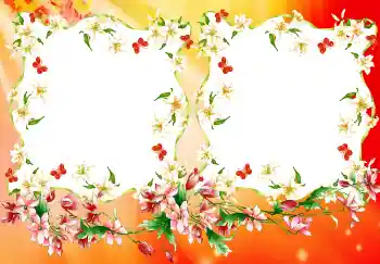 Εφέ φωτογραφιών στην κατηγορία Διαφορετικές № 4894