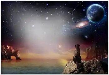 Εφέ φωτογραφιών στην κατηγορία Διαφορετικές № 49504