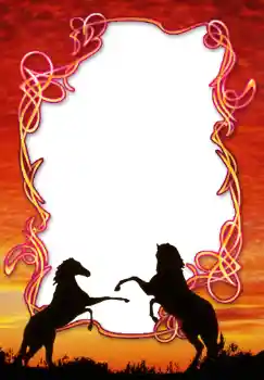 Εφέ φωτογραφιών στην κατηγορία Διαφορετικές № 49539