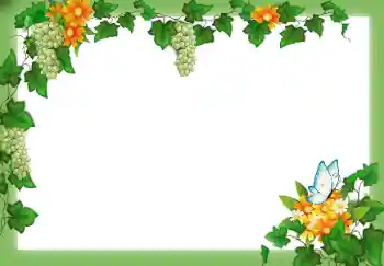 Εφέ φωτογραφιών στην κατηγορία Διαφορετικές № 49547