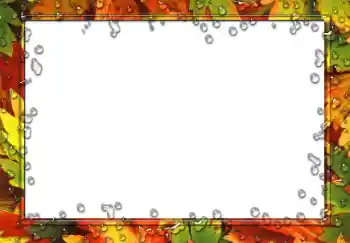 Εφέ φωτογραφιών στην κατηγορία Διαφορετικές № 49551