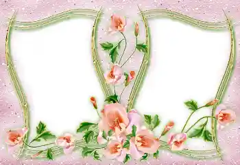 Εφέ φωτογραφιών στην κατηγορία Διαφορετικές № 4982