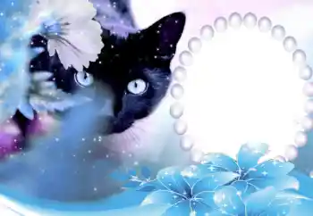 Εφέ φωτογραφιών στην κατηγορία Διαφορετικές № 50647