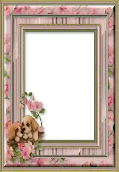 Εφέ φωτογραφιών στην κατηγορία Διαφορετικές № 50746