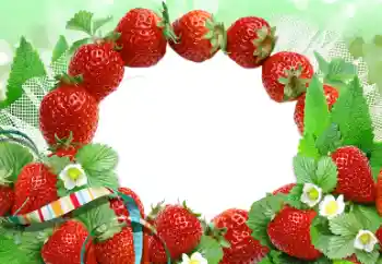 Εφέ φωτογραφιών στην κατηγορία Διαφορετικές № 50874