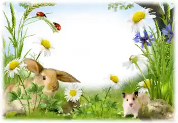 Εφέ φωτογραφιών στην κατηγορία Διαφορετικές № 50899