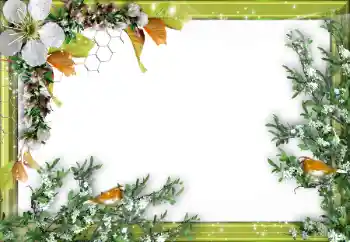 Εφέ φωτογραφιών στην κατηγορία Διαφορετικές № 52034