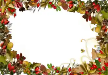 Εφέ φωτογραφιών στην κατηγορία Διαφορετικές № 52161