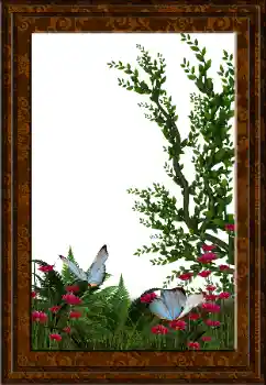 Εφέ φωτογραφιών στην κατηγορία Διαφορετικές № 52231