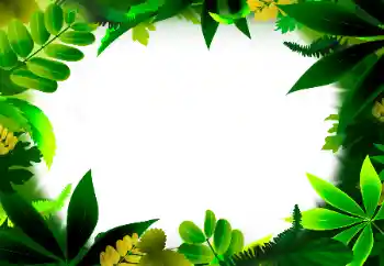 Εφέ φωτογραφιών στην κατηγορία Διαφορετικές № 56530