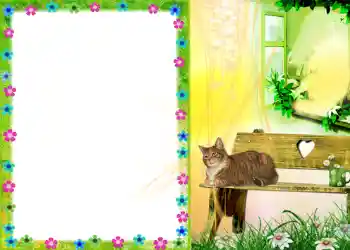 Εφέ φωτογραφιών στην κατηγορία Διαφορετικές № 579