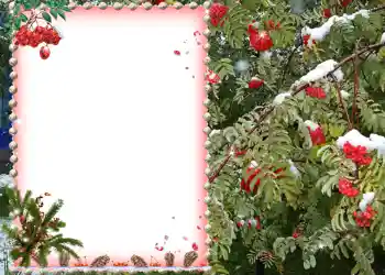 Εφέ φωτογραφιών στην κατηγορία Διαφορετικές № 581