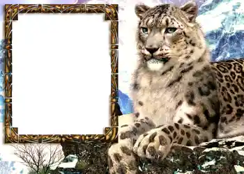 Εφέ φωτογραφιών στην κατηγορία Διαφορετικές № 585