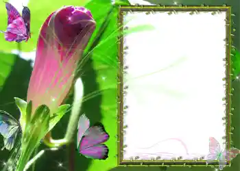 Εφέ φωτογραφιών στην κατηγορία Διαφορετικές № 586