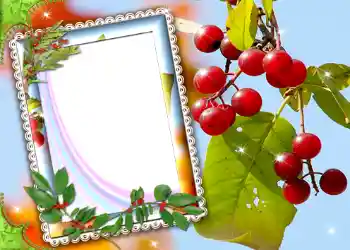 Εφέ φωτογραφιών στην κατηγορία Διαφορετικές № 587