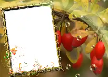 Εφέ φωτογραφιών στην κατηγορία Διαφορετικές № 588