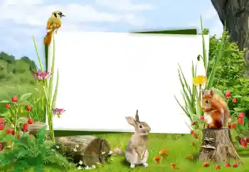 Εφέ φωτογραφιών στην κατηγορία Διαφορετικές № 59008