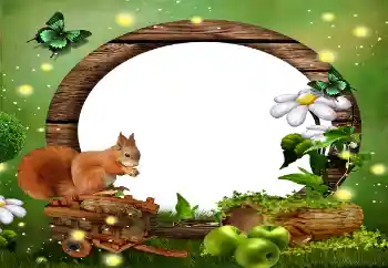 Εφέ φωτογραφιών στην κατηγορία Διαφορετικές № 59010