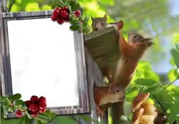 Εφέ φωτογραφιών στην κατηγορία Διαφορετικές № 60195