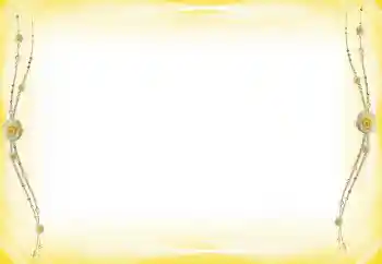 Εφέ φωτογραφιών στην κατηγορία Διαφορετικές № 60289