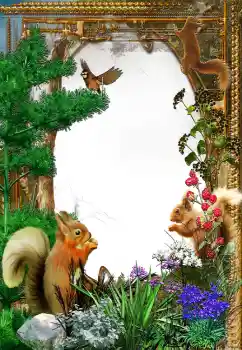 Εφέ φωτογραφιών στην κατηγορία Διαφορετικές № 61573