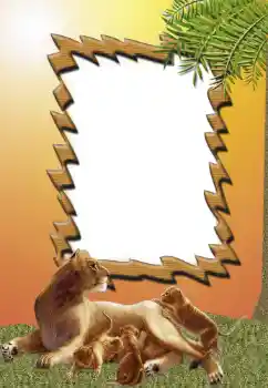 Εφέ φωτογραφιών στην κατηγορία Διαφορετικές № 62681