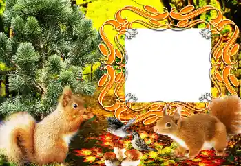 Εφέ φωτογραφιών στην κατηγορία Διαφορετικές № 64207