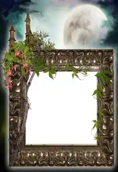 Εφέ φωτογραφιών στην κατηγορία Διαφορετικές № 64455