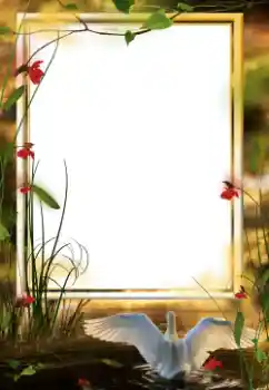 Εφέ φωτογραφιών στην κατηγορία Διαφορετικές № 64458