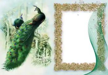 Εφέ φωτογραφιών στην κατηγορία Διαφορετικές № 64460