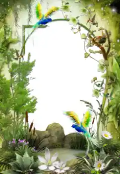 Εφέ φωτογραφιών στην κατηγορία Διαφορετικές № 64461