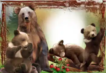 Εφέ φωτογραφιών στην κατηγορία Διαφορετικές № 64467