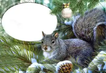 Εφέ φωτογραφιών στην κατηγορία Διαφορετικές № 65735