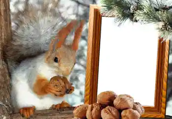 Εφέ φωτογραφιών στην κατηγορία Διαφορετικές № 65737