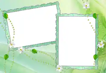 Εφέ φωτογραφιών στην κατηγορία Διαφορετικές № 65884