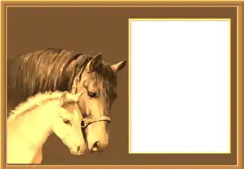 Εφέ φωτογραφιών στην κατηγορία Διαφορετικές № 67145