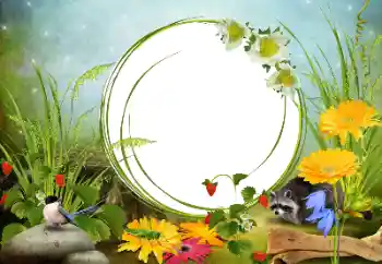 Εφέ φωτογραφιών στην κατηγορία Διαφορετικές № 68455