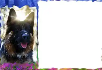 Εφέ φωτογραφιών στην κατηγορία Διαφορετικές № 68617